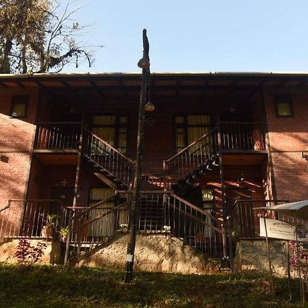 Red Panda Jungle Camp - A Unit Of Davinchi Homes Pvt Ltd Gyalshing Ngoại thất bức ảnh